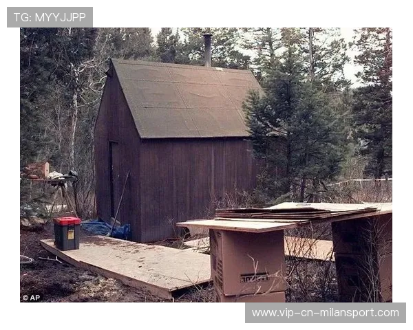 巴莱巴防线告急：危机来临，背后隐藏的真相与应对之道